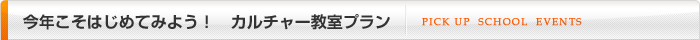 今年こそ始めてみよう！カルチャー教室プラン